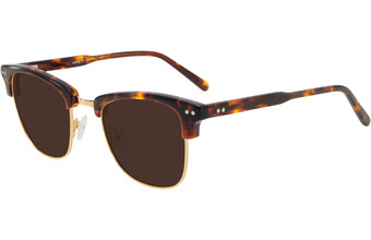 Lentilles De Soleil De Remplacement SFx Pour Tonic Mo - Largeur 56 Mm, 100% UV, Australie
